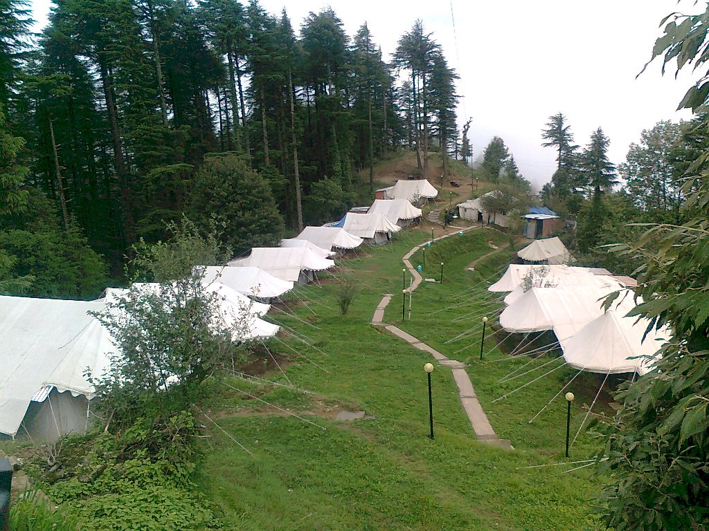 Adventure Camping In Dhanaulti